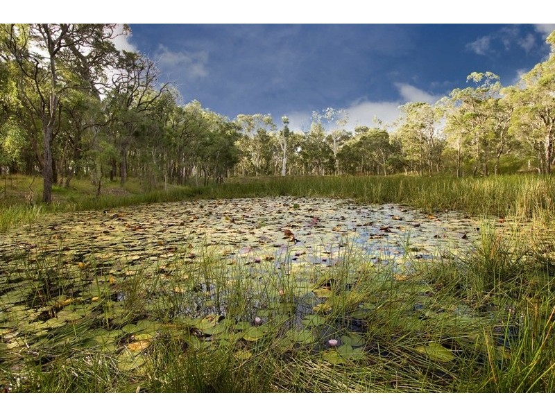 62 Church Street, Cranebrook NSW 2749