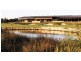 - Twin Creeks Drive, Luddenham NSW 2745
