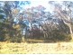 24 Yester Road, Wentworth Falls NSW 2782
