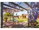 64-66 Mayo Road, Llandilo NSW 2747