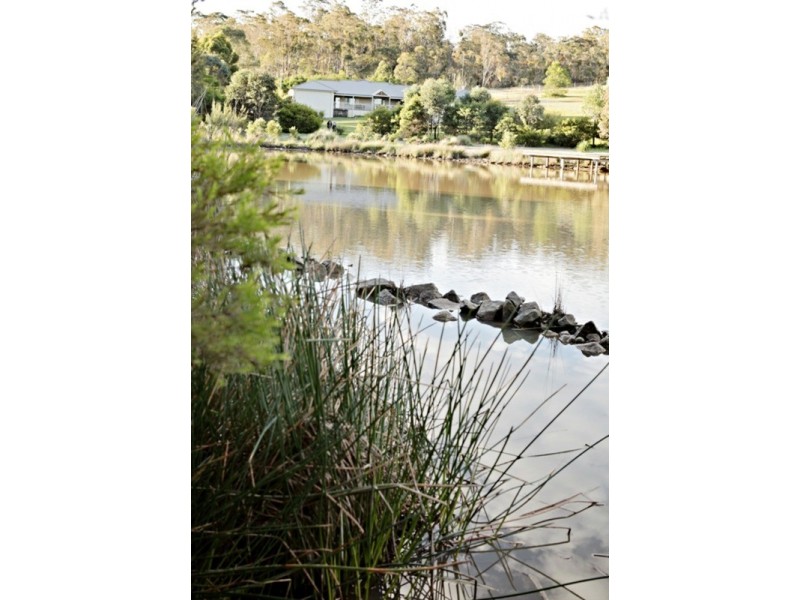 81 Nepean Street, Cranebrook NSW 2749