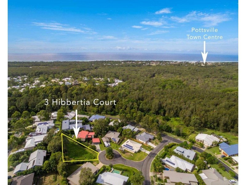 3 Hibbertia Court, Pottsville NSW 2489
