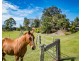 48 Hazelwood Drive, Pottsville NSW 2489