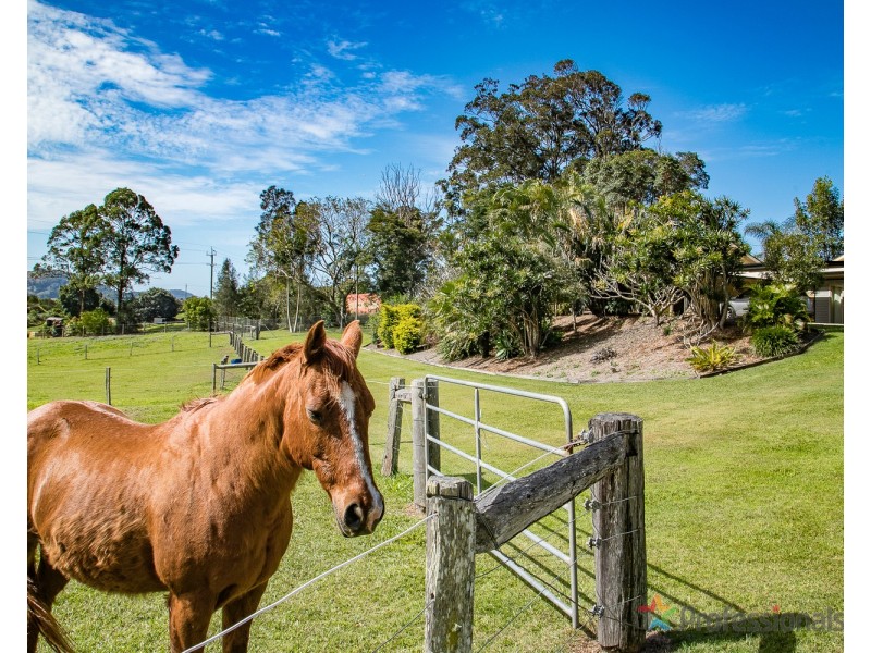 48 Hazelwood Drive, Pottsville NSW 2489