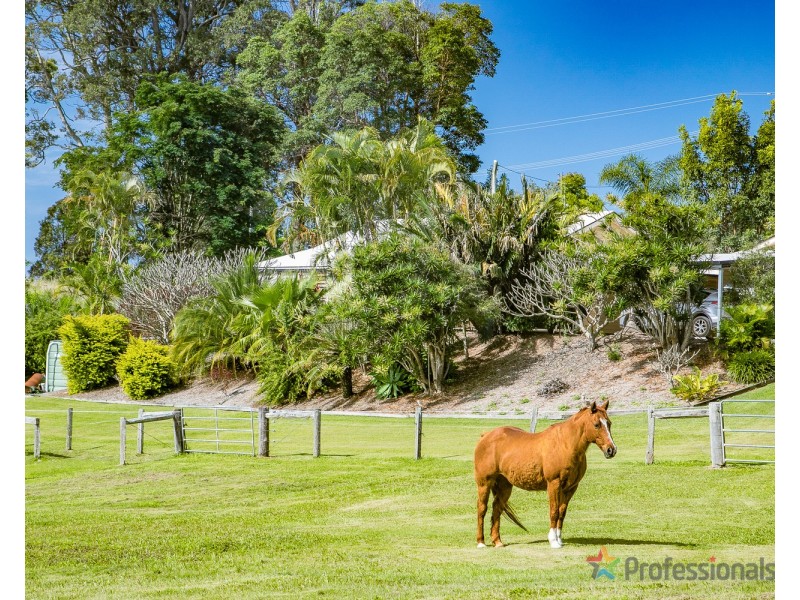 48 Hazelwood Drive, Pottsville NSW 2489