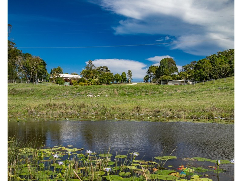 48 Hazelwood Drive, Pottsville NSW 2489