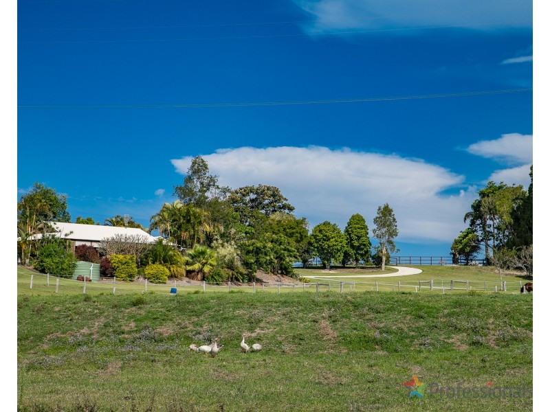 48 Hazelwood Drive, Pottsville NSW 2489