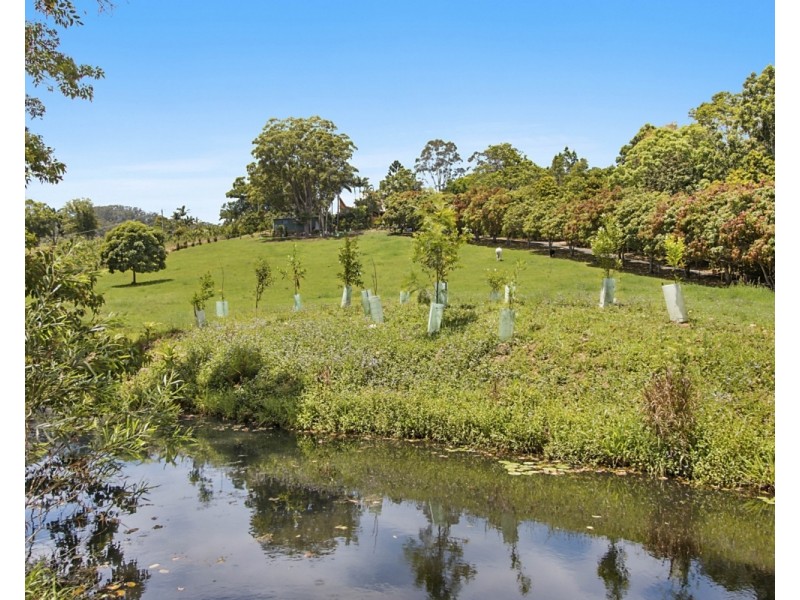 102  Greenvale Court, Burringbar NSW 2483