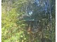 102  Greenvale Court, Burringbar NSW 2483