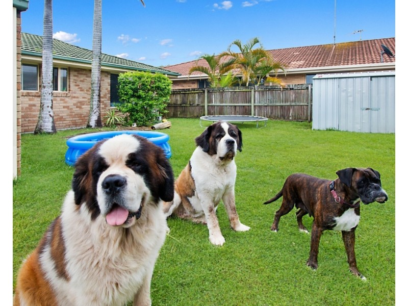 28 Mckenzie Avenue, Pottsville NSW 2489