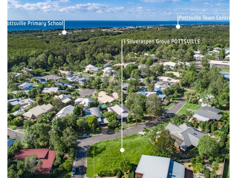 1 Silveraspen Grove, Pottsville NSW 2489