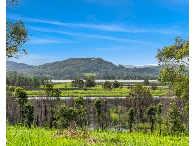 5 North Hill Court, Tanglewood NSW 2488