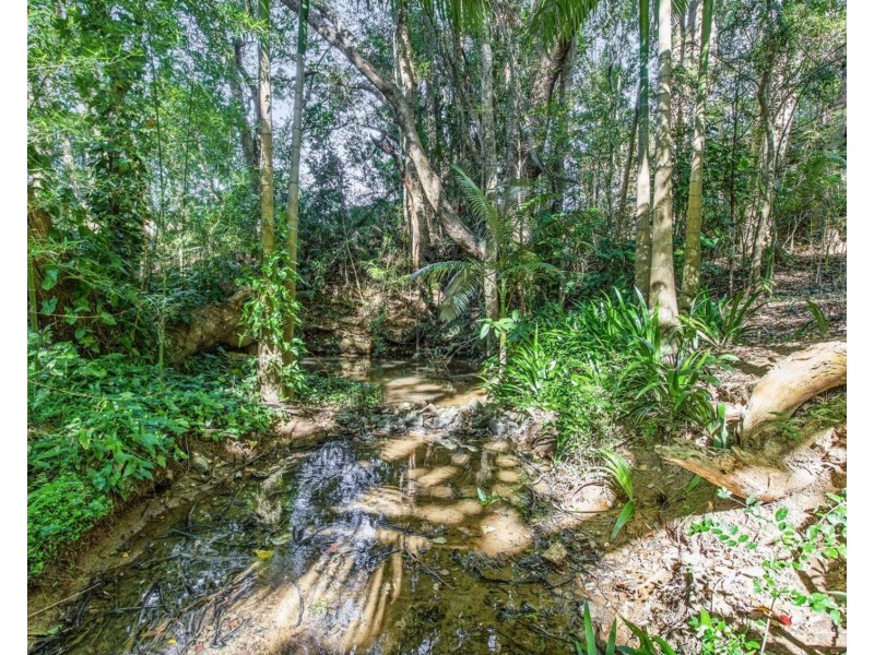 101 Burringbar Road, Burringbar NSW 2483