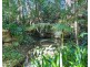 101 Burringbar Road, Burringbar NSW 2483