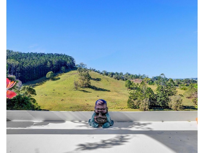 304 Pottsville Road, Mooball NSW 2483