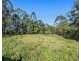 304 Pottsville Road, Mooball NSW 2483