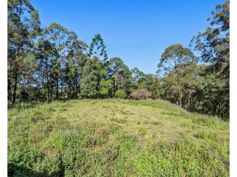 304 Pottsville Road, Mooball NSW 2483