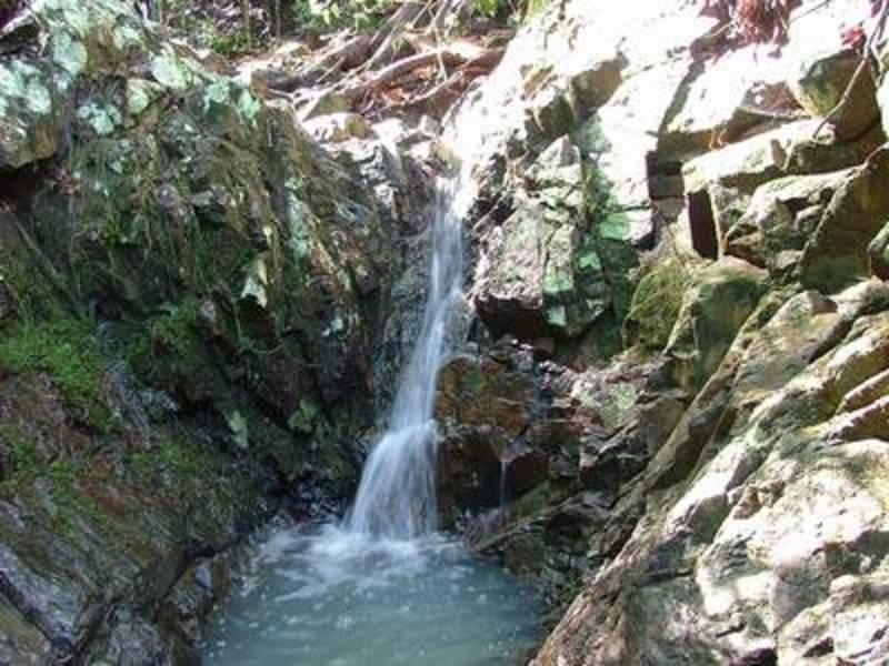 224 Sleepy Hollow Road, Sleepy Hollow NSW 2483