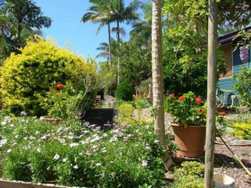 224 Sleepy Hollow Road, Sleepy Hollow NSW 2483