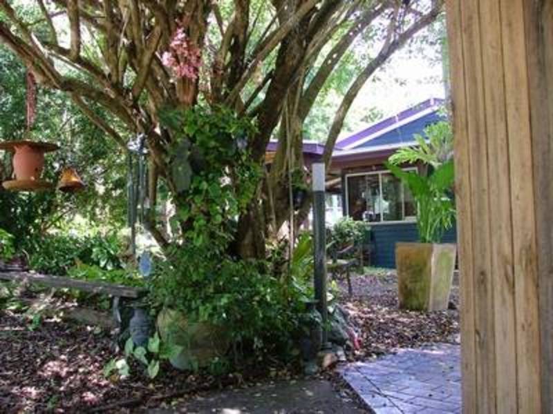 224 Sleepy Hollow Road, Sleepy Hollow NSW 2483