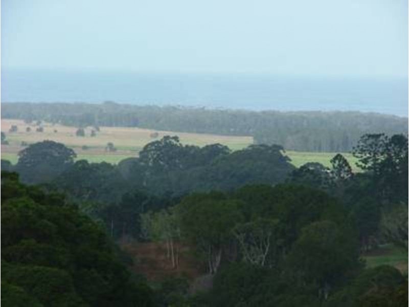 224 Sleepy Hollow Road, Sleepy Hollow NSW 2483