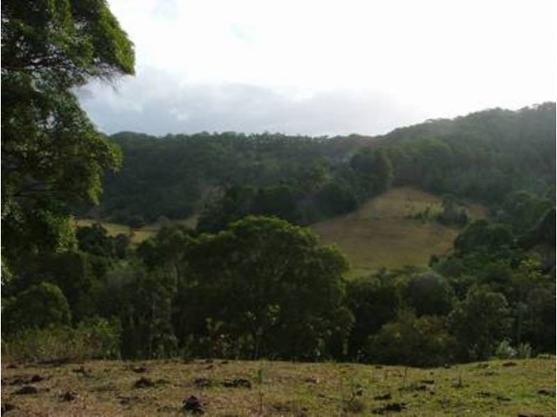 224 Sleepy Hollow Road, Sleepy Hollow NSW 2483