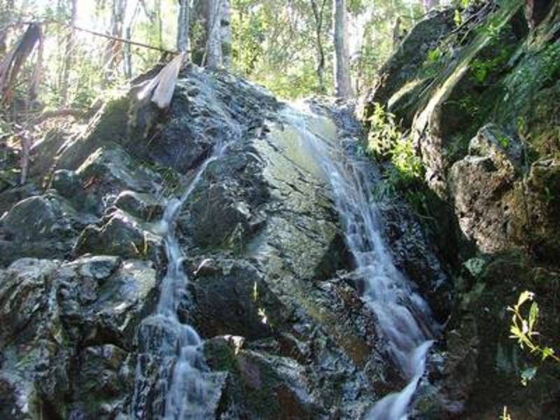 224 Sleepy Hollow Road, Sleepy Hollow NSW 2483