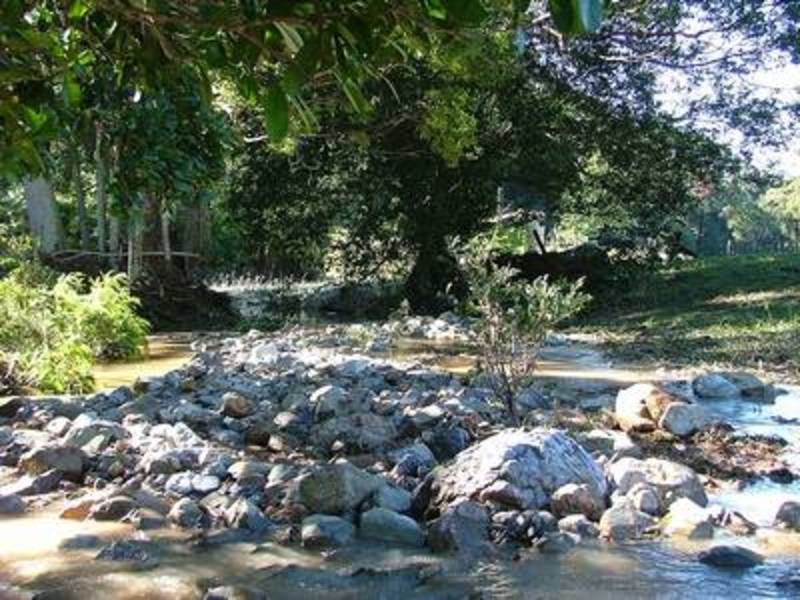 224 Sleepy Hollow Road, Sleepy Hollow NSW 2483