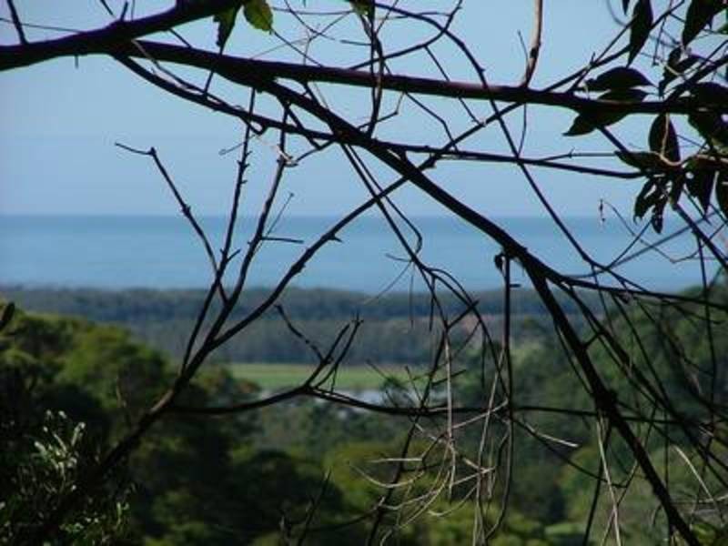 224 Sleepy Hollow Road, Sleepy Hollow NSW 2483