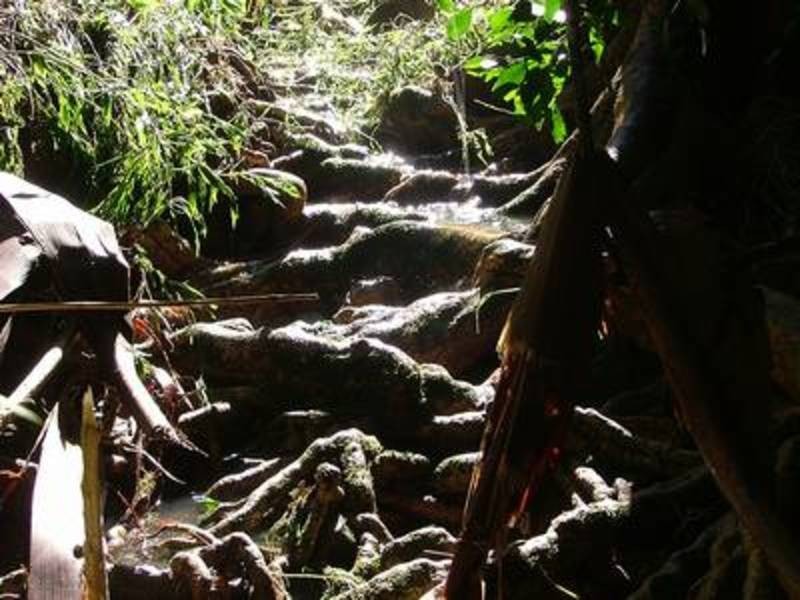 224 Sleepy Hollow Road, Sleepy Hollow NSW 2483