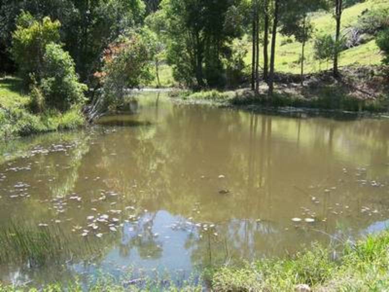 224 Sleepy Hollow Road, Sleepy Hollow NSW 2483