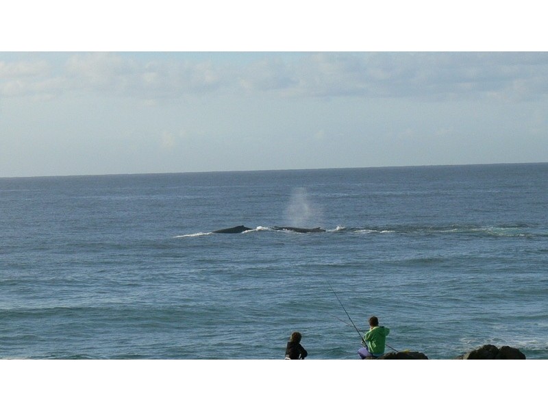 White Waves/5-18 Coast Road, Hastings Point NSW 2489