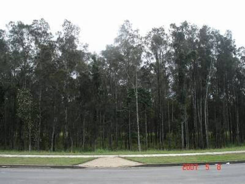 44 Sugar Glider Drive, Pottsville NSW 2489