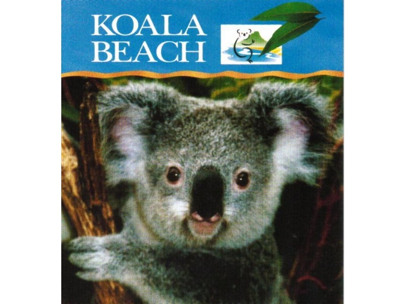 Lot 582 # 47 Marsupial Drive, Pottsville NSW 2489