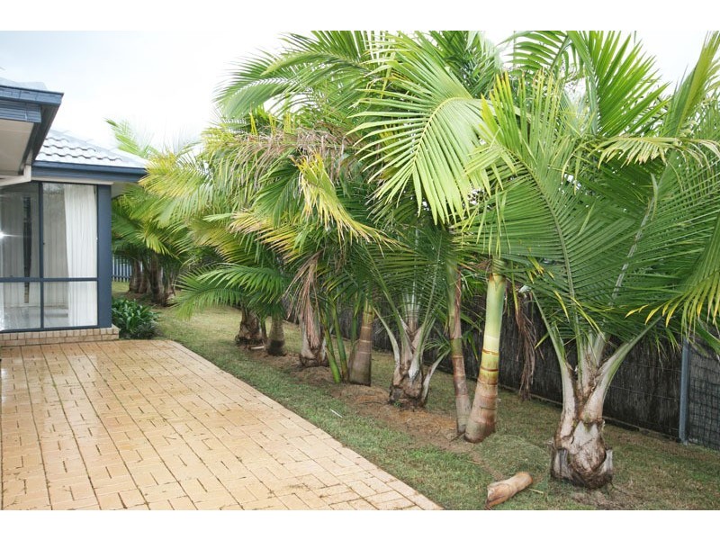 21 Urunga Drive, Pottsville NSW 2489