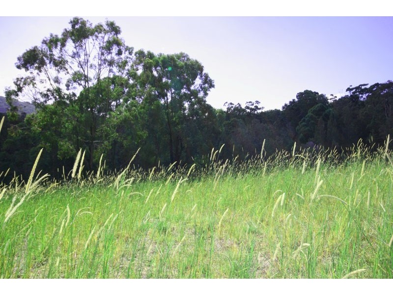(33) / Lot 612 Lomandra Drive, Pottsville NSW 2489
