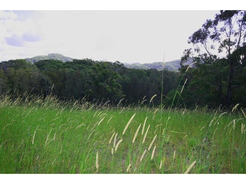 (33) / Lot 612 Lomandra Drive, Pottsville NSW 2489