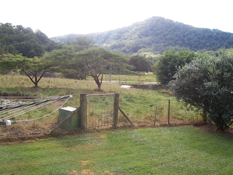 81 Harwood Road, Burringbar NSW 2483