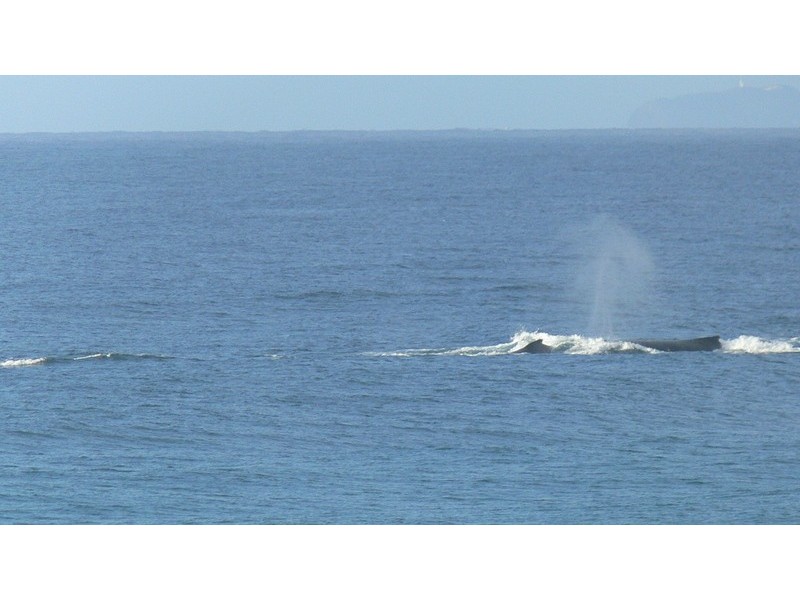 18 Coast Road, Hastings Point NSW 2489