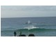 18 Tweed Coast Road, Hastings Point NSW 2489