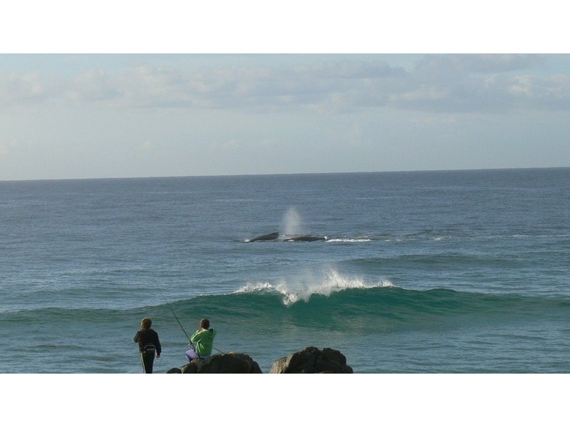 18 Tweed Coast Road, Hastings Point NSW 2489