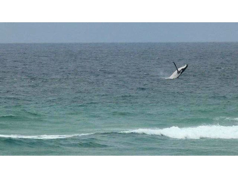 18 Tweed Coast Road, Hastings Point NSW 2489