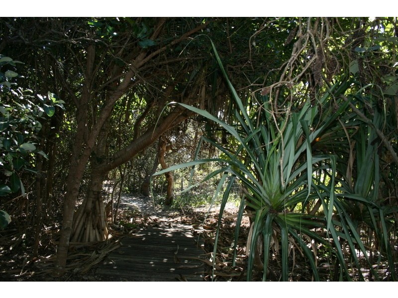 18 Tweed Coast Road, Hastings Point NSW 2489