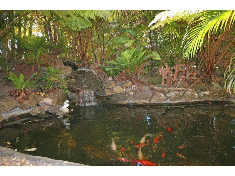 15 Coast Road, Pottsville NSW 2489