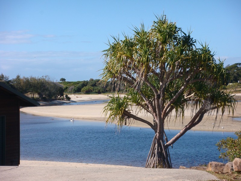 5/5 Peninsula Street, Hastings Point NSW 2489