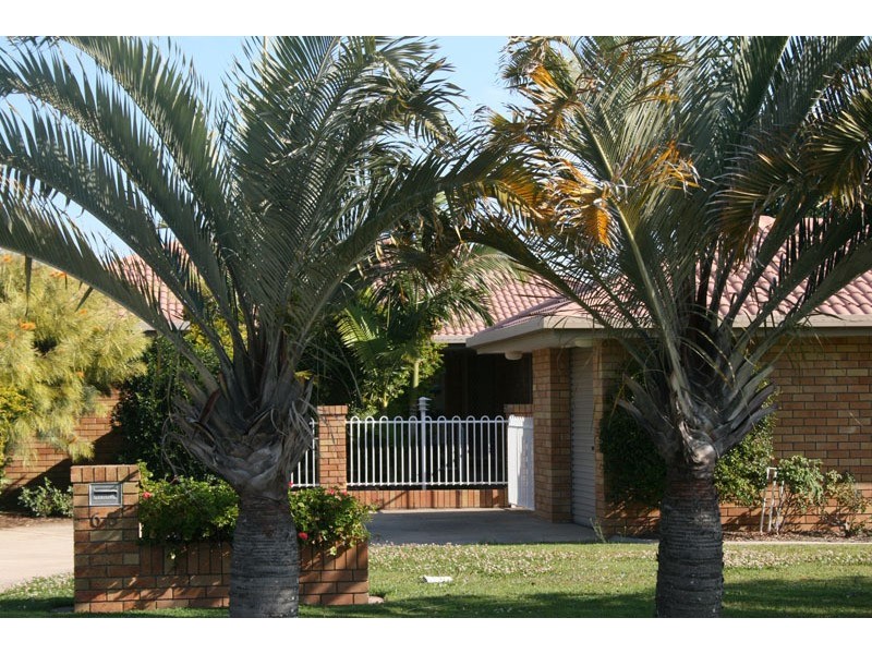 65 Andrew Avenue, Pottsville NSW 2489