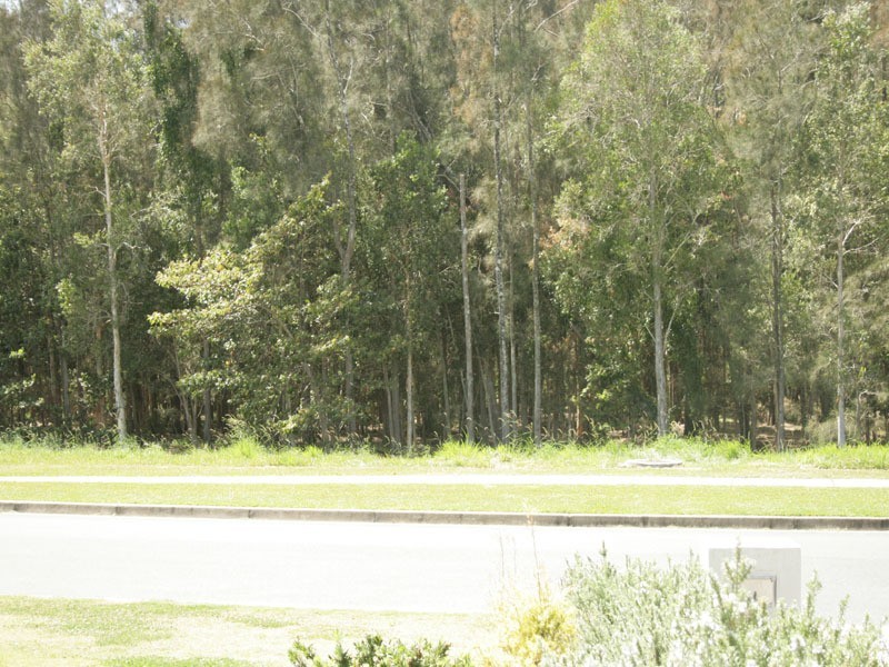 72 Sugarglider Drive, Pottsville NSW 2489