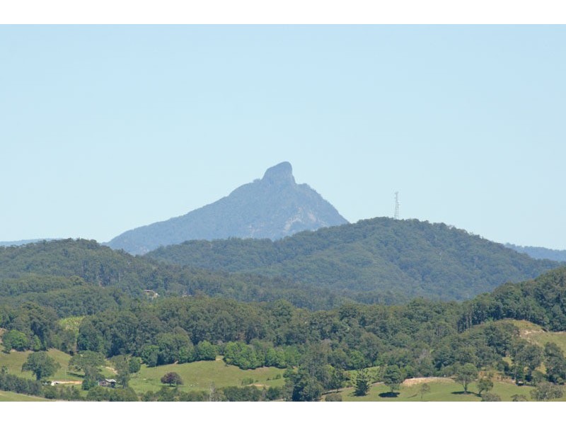 Lot 379 Sassafras Street, Pottsville NSW 2489