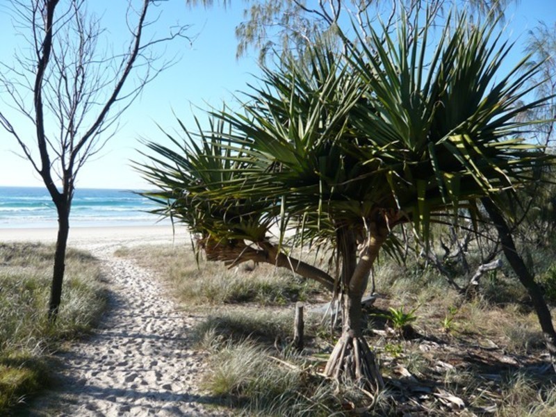 16/44-48 Elanora Avenue, Pottsville NSW 2489