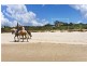 4/24 Coast Road, Hastings Point NSW 2489